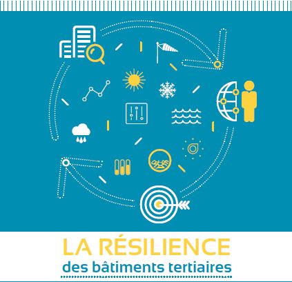2019 : une année pleine de promesses pour l’ADI