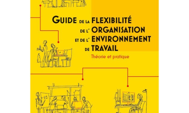 Parution du Guide de la Flexibilité de l’Organisation et de l’Environnement de Travail