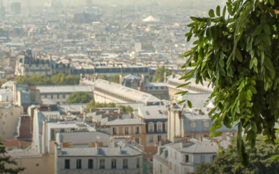 6ème panorama de l&rsquo;immobilier et de la ville