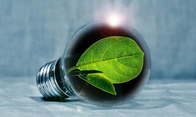 Sobriété énergétique : les propositions de l&rsquo;ADI
